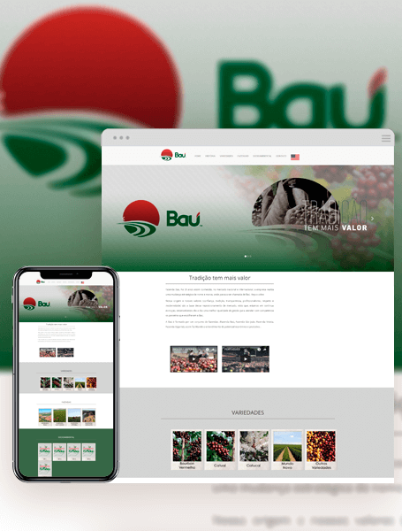 portifolio bau agro.png